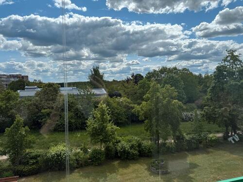 Foto - 4 Zimmer Etagenwohnung zur Miete in Neubrandenburg