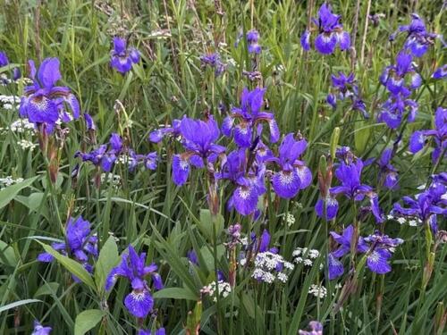 Foto - Einfamilienhaus in Quickborn zum Kaufen