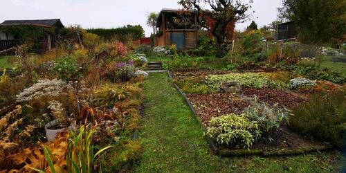 Foto - PachtGarten abzugeben - 400,00&nbsp;EUR Kaltmiete, ca.&nbsp; 0,00&nbsp;m&sup2;