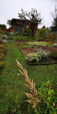 Foto - Grundst&uuml;ck zur Miete in Chemnitz