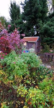 Foto - Grundst&uuml;ck in Chemnitz