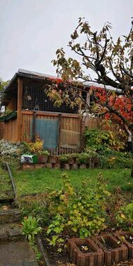 Foto - Grundst&uuml;ck in Chemnitz zur Miete