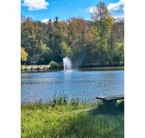 Großes Ferienhaus Heide Park Soltau,Badesee,Grill,Vereine,Gruppen - Visselhövede