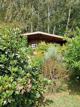 Foto - Grundstück zur Miete in Annaberg-Buchholz