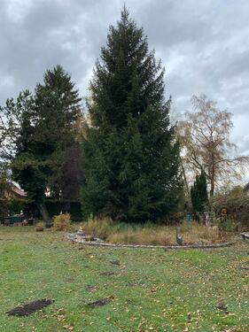 Foto - Grundstück in Hallbergmoos