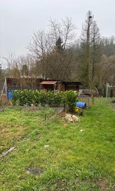 Foto - 4 Zimmer Einfamilienhaus zum Kaufen in Beckingen