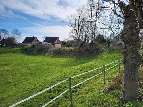 Foto - Pachtgrundstücke an der Pferdekoppel