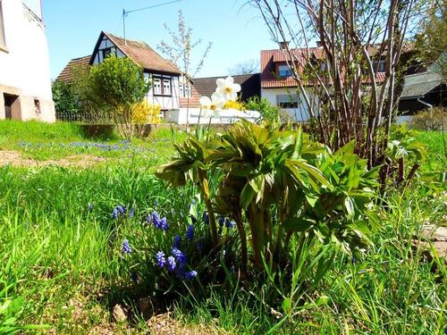 Foto - Anwesen mit Haus, Garten, Hof, Scheune und Wiese