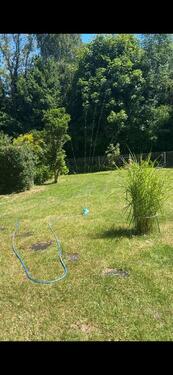 Foto - ✨ Großer Kleingarten abzugeben - 550qm ✨