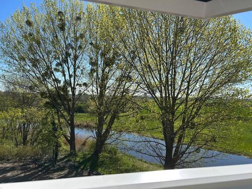 Foto - 3 Raumwohnung mit Blick ins Grüne