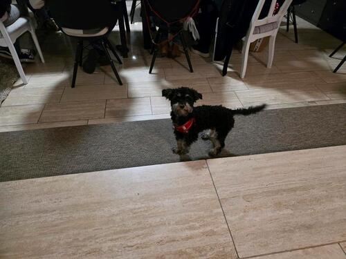 Foto - 1 Zimmer andere in Essen