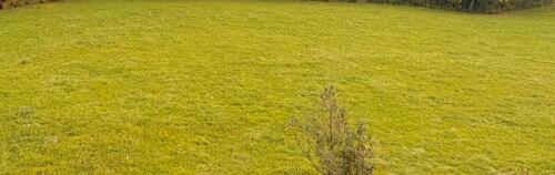 Foto - 9,5 ha landwirtschaftliche Fläche zu verpachten
