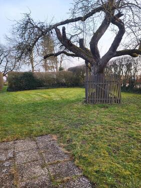 Foto - Garten zu verpachten - 150,00&nbsp;EUR Kaltmiete, ca.&nbsp; 0,00&nbsp;m&sup2;