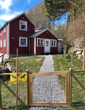 Foto - hej Schweden! Midsommar * Großes Ferienhaus 7 Personen * Hunde