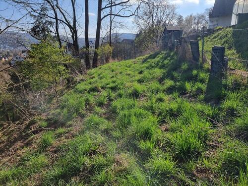 Foto - Freizeitgrundstück - 10,00&nbsp;EUR Kaltmiete, ca.&nbsp; 0,00&nbsp;m&sup2;