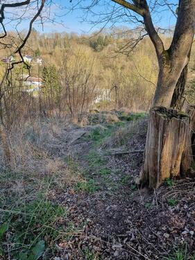 Foto - Grundst&uuml;ck in Rotenburg an der Fulda zur Miete