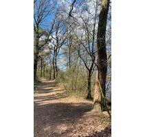 Feriendomizil Mobilheim Tinyhouse Harkebrügger See Strand Hund - Barßel