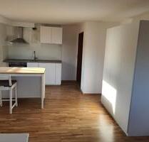 Charmantes Studio-Apartment im Souterrain mit Gartenblick - Weisenheim am Berg
