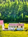 Foto - HausWieseWald nahe Jena mit viel Potenzialauch Pferdehaltung