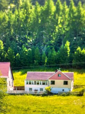 Foto - HausWieseWald nahe Jena mit viel Potenzialauch Pferdehaltung