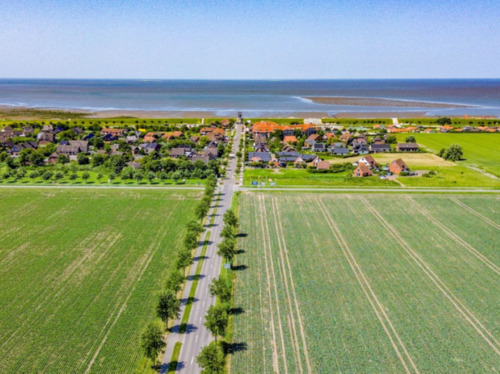 Foto - andere in Wolfenbüttel