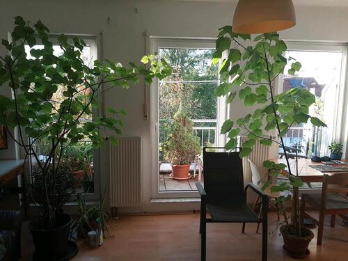 Foto - Schönes Zimmer, ca 20qm - 400,00 EUR Kaltmiete,