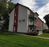 Schöne 2-Zimmer-Wohnung mit großer Küche - Gelsenkirchen Gelsenkirchen-Mitte