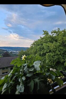 Foto - 4 Zimmer Etagenwohnung zur Miete in Siegen