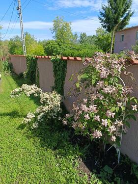 Foto - 4 Zimmer Einfamilienhaus in Giesen
