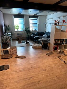 Foto - 2 Zimmer Erdgeschoßwohnung zur Miete in Vordorf