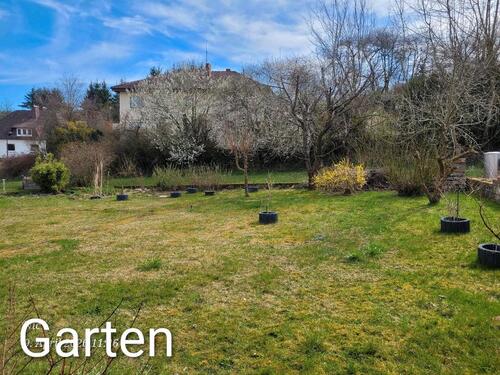 Foto - 4 Zimmer Einfamilienhaus in Heringen (Werra)