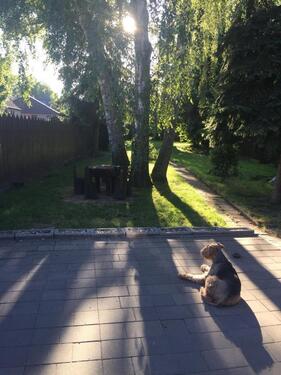 Foto - Einfamilienhaus in Kamen