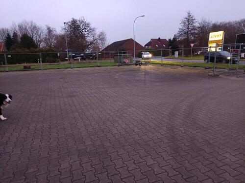 Foto - Ausstellungsfläche zu vermieten i