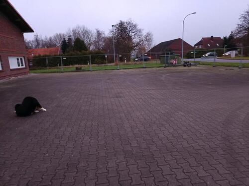 Foto - andere zur Miete in Ihlow