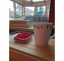 Ruhig gelegenes Reihenendhaus zu vermieten - Mölln