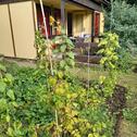 Foto - Grundstück in Ottendorf-Okrilla