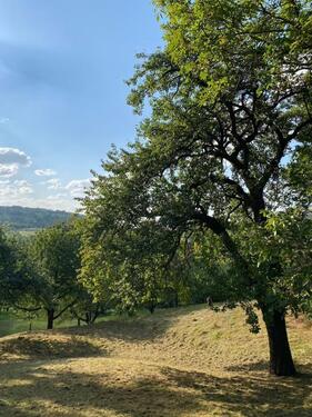 Foto - Grundstück in Weilheim an der Teck