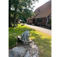 3 Zimmer Wohnung - 870,00 EUR Kaltmiete, ca. 70,00 m² in Walsrode (PLZ: 29664) 3 Zimmer Wohnung - 870,00 EUR Kaltmiete, ca. 70,00 m² in Walsrode (PLZ: 29664)