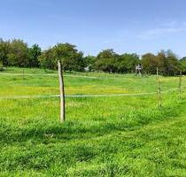 Grünflächen-Grundstücke in 39397 Schwanebeck - Gröningen