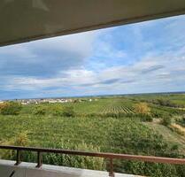 3-Zimmer-Eigentumswohnung in Diedesfeld mit Panorama-Blick - Neustadt an der Weinstraße
