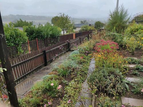Foto - Garten Volkshain Plauen - 4.500,00 EUR Kaltmiete, ca.  0,00 m²