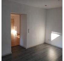 Neu renovierte 2-Zimmer-Wohnung in Reinheim - Gersheim