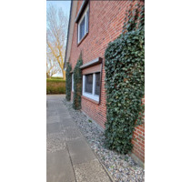 TOP Einfamilienhaus in Neufeld ab 01.04 zu vermieten