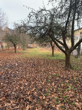 Foto - Grundst&uuml;ck in Arnstadt zur Miete
