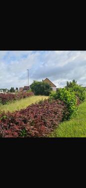 Foto - Einfamilienhaus zum Kaufen in Bremerhaven