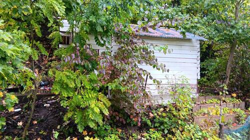 Foto - Grundst&uuml;ck zur Miete in Kiel