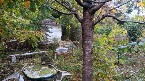 Foto - Grundst&uuml;ck in Kiel zur Miete