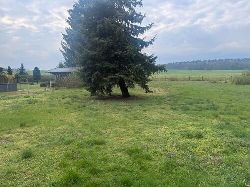 Foto - 6 Zimmer Einfamilienhaus in Schönwalde-Glien