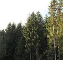 am Waldrand gelegene, ruhige 2,5 Zimmerwohnung - ohne Nachzahlung - Arrach