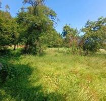 kleiner Bauernhof mit Scheune Halle Einfamilienhaus - Bensheim